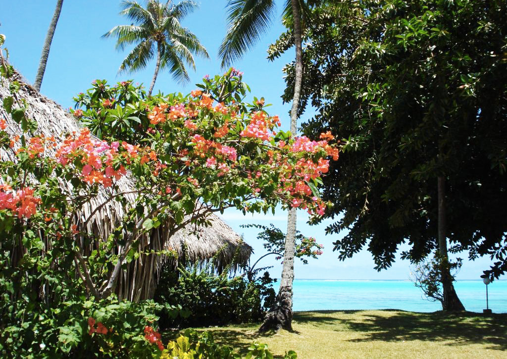 Polynésie Française - Tahiti - Combiné Tahiti Nui - Hibiscus Moorea - Maitai Polynesia Bora Bora